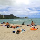 와이키키 이미지