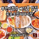 속초 오징어 어시장 | 부천시청역 해산물 맛집 속초오징어 어시장 내돈내산 솔직후기