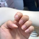네일효월