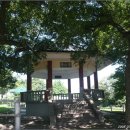 숲쟁이로 이미지