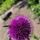 Reflection( mbira 연주) 이미지