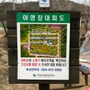 상의자동차야영장 이미지