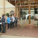 한국압화박물관 이미지