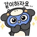 양평보쌈칼국수 이미지