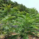 석문농장 이미지