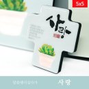 팬시마을 쇼핑하우