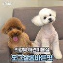 도그살롱바른핏 이미지