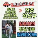 로페/경기시흥＞＞전북 전주 완산구/날짜.시간 협의가능 이미지