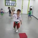 경희대최강태권도 | 도화동태권도 우리 아이가 달라졌어요!