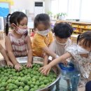 김천중앙초교병설유치원 이미지