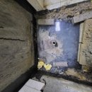 가재 우림필유 이미지