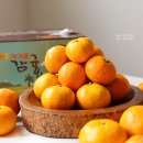 딸부잣집과일