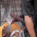 오케이산업기계 이미지