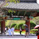 먹거리촌어린이공원 | 오늘 가볼 만한 곳 고창 선운사 꽃무릇, 가을여행 당일치기&#34; 주차장 이용 정보