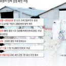 안전지대