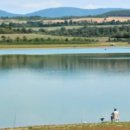 정성집밥 이미지