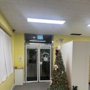 세종메디피아 | 세종 파충류샵 가볼만한곳 핫플레이스 나성동 도마도마 후기