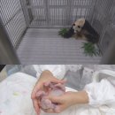 서율농장 이미지