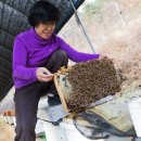 슬로시티수산협동조합 이미지