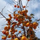 성도산업 이미지