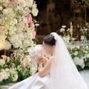 아현역(2) | 웨딩염색 본식 전 톤다운 아현역 미용실 리아트헤어2호점 후기