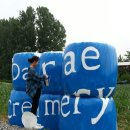 6월의 목장 이미지