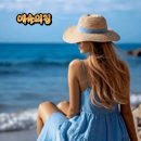 아침부터 매미가 노래를 합니다. 이미지