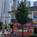 빨래나라이박사 티스토리