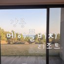 메이플비치호텔 | [강릉 호텔] 메이플비치 리조트 호텔 / 디럭스 트리플 / 오션뷰 수영장 / 내돈내산 후기