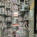 내인생의 그림기록 | [멕시코 여행🇲🇽]5. 멕시코 현대미술 완전정복 + 인생 타코 맛집 El Torito 후기