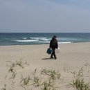 봉성농장 이미지