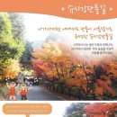 11/17-18(특가*국경의섬*대마도*슈시강*단풍*딱따구리숲*주상절리*몽돌해변*트레킹*관광) 이미지