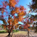 호수공원_희망의동산 이미지