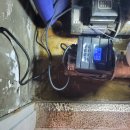 수원-0430 이미지