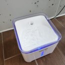 벨라몽 애견호텔 이미지