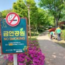 돌우물공원2 이미지