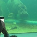 (주)아라마루 이미지