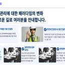솔안
