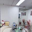 왁싱제이프로