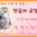 야시 PC 네이버블로그