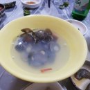 다찌호프