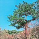 덕산도립공원 수덕사 주차장 | 덕숭산 등산코스 후기 ; 주차장부터 수덕사 지나 정상까지 등산시간