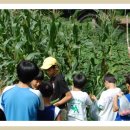 합기도 양우관 총본관 이미지