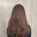 웜브라운