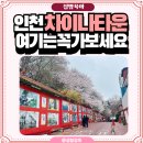 구구커피숍 - 성주군 대장길 85-17 | 자유공원 벚꽃축제 후 인천 차이나타운 갈 때 “이 선택” 꼭 하세요