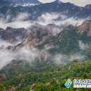 일성레저산업(주) 남한강콘도&리조트 네이버블로그