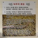 연이네빈대떡 네이버블로그