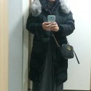 쉬즈미스전주