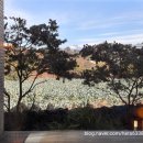 스테이한담 이미지