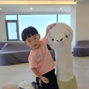 알파치과의원 이미지